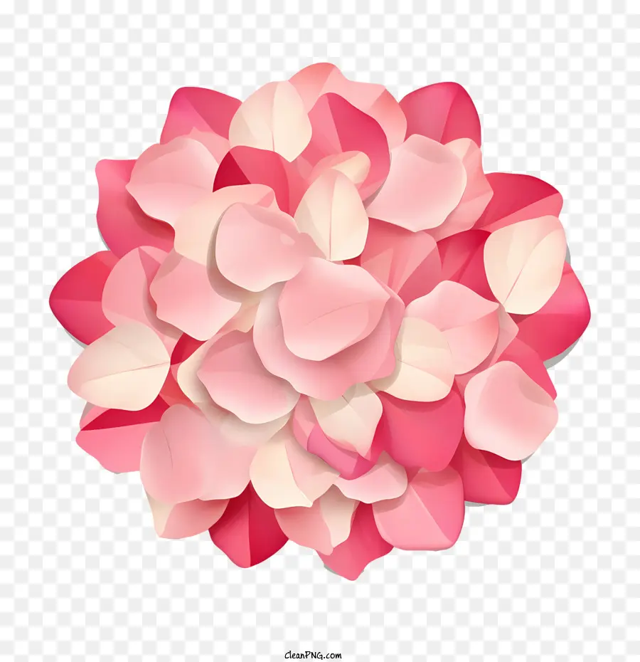 Pétales De Roses，Fleur Rose PNG