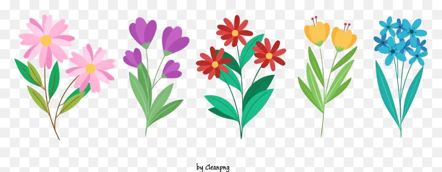 Arrangement De Fleurs，Fleurs Colorées PNG