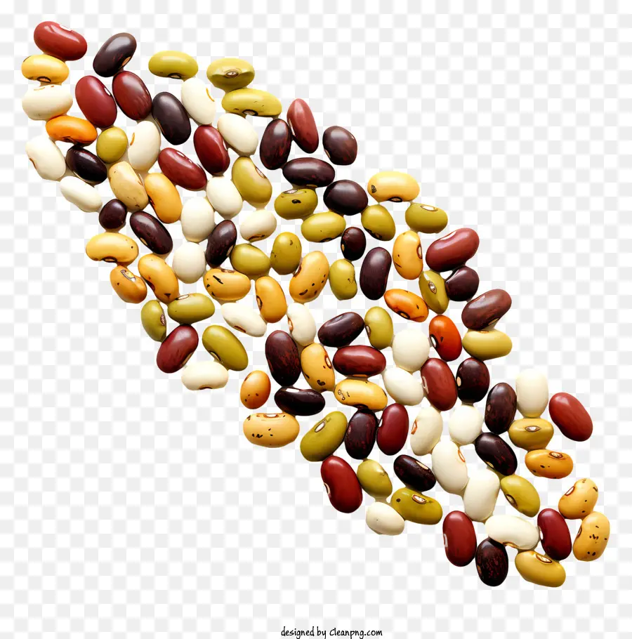 Les Haricots，Haricots Colorés PNG