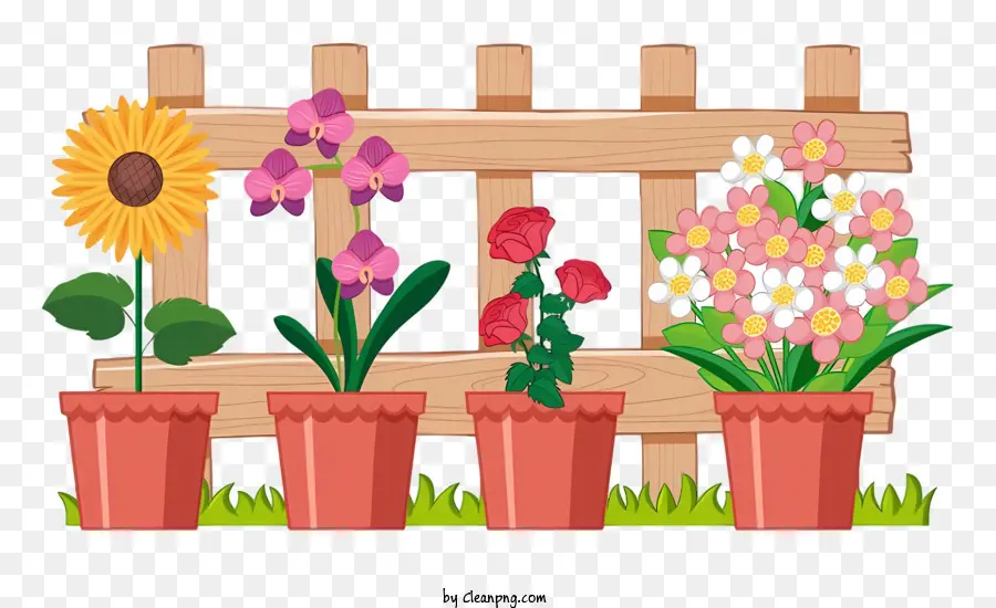 Fleurs En Pot，Plantes En Pot PNG