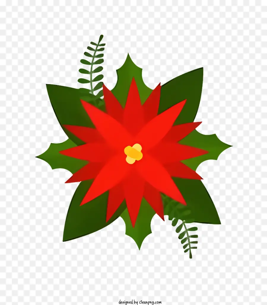 Fleur De Poinsettia Rouge，Feuilles Vertes PNG