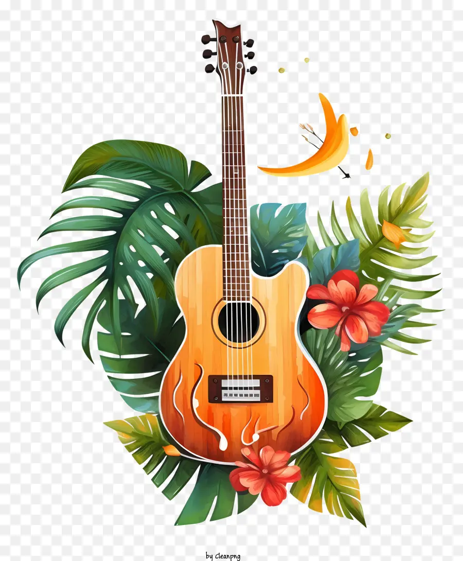 Guitare Acoustique，Tropical PNG