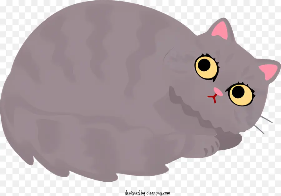 Chat Gris，Chat Mince PNG