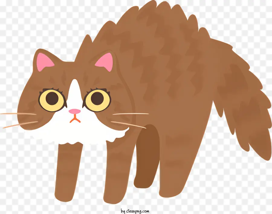 Chat De Dessin Animé，Chat Effrayé Brun PNG