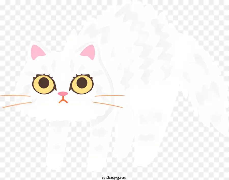 Chat Blanc，Fourrure Moelleuse PNG