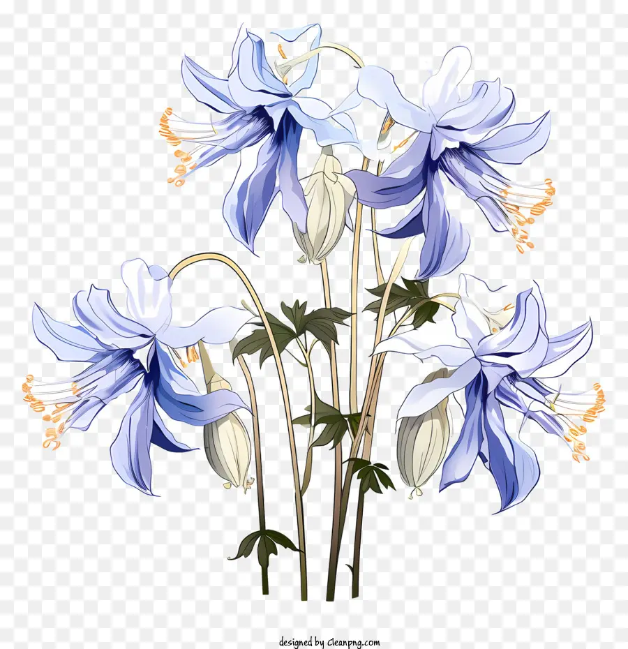 Fleurs De Clematis Bleu，Debout Fleurs PNG