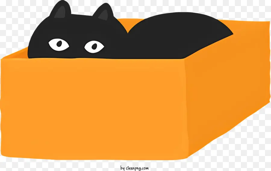 Chat Noir，Boîte Orange PNG