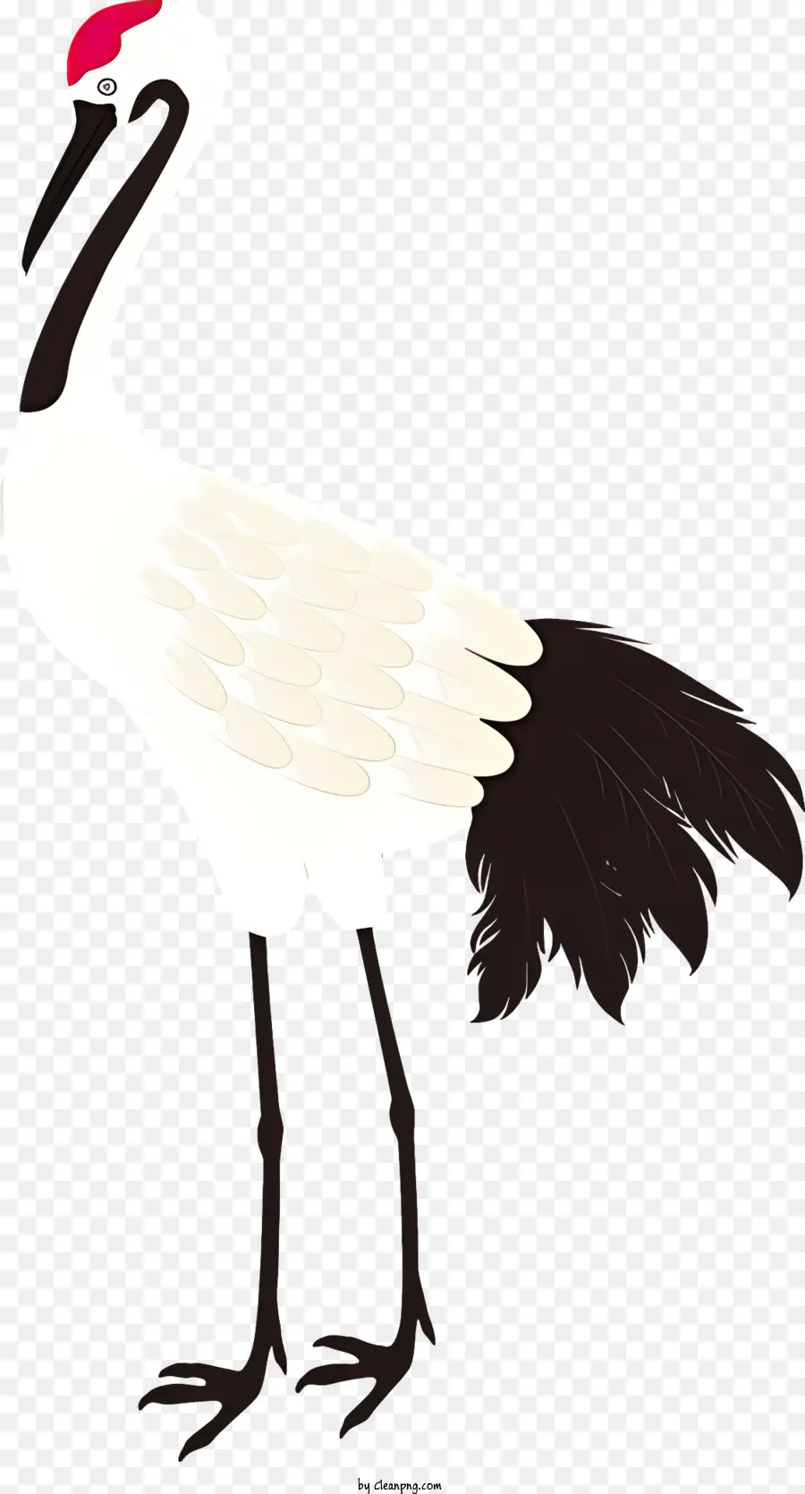 Oiseau，Grue Blanche PNG