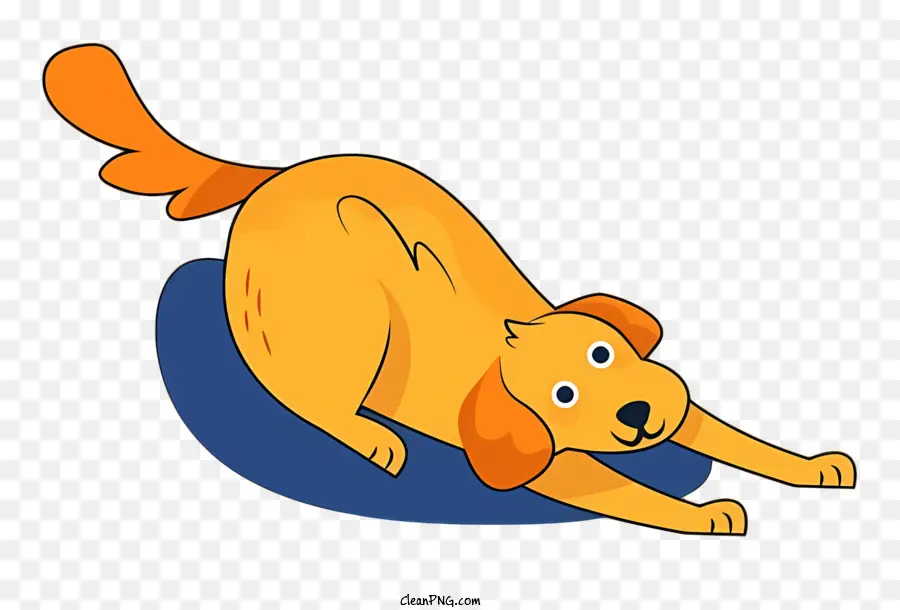 Chien De Dessin Animé，Chien PNG