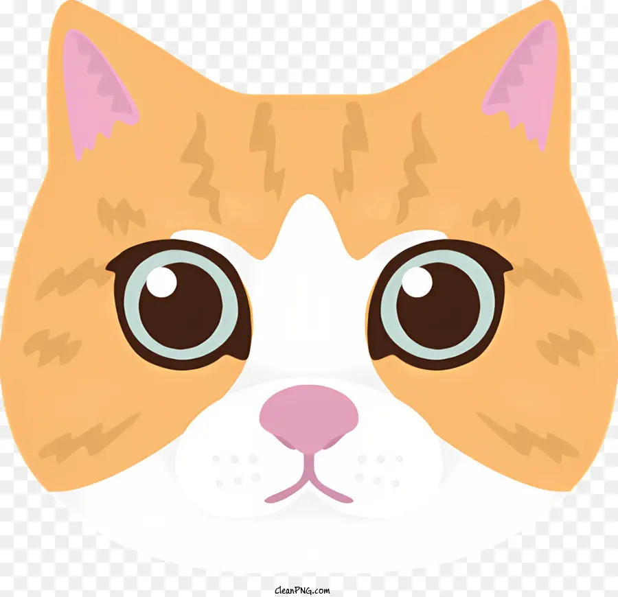 Chat，Chat Orange PNG