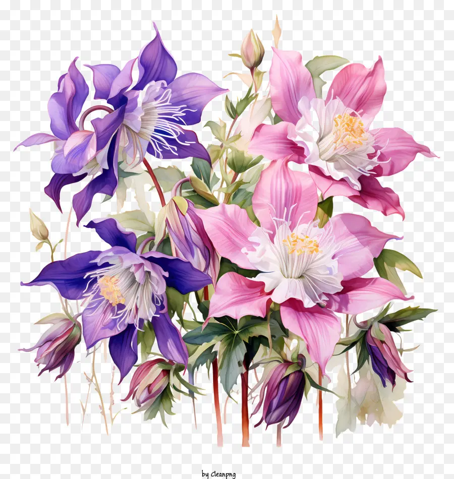 Bouquet，Fleurs PNG