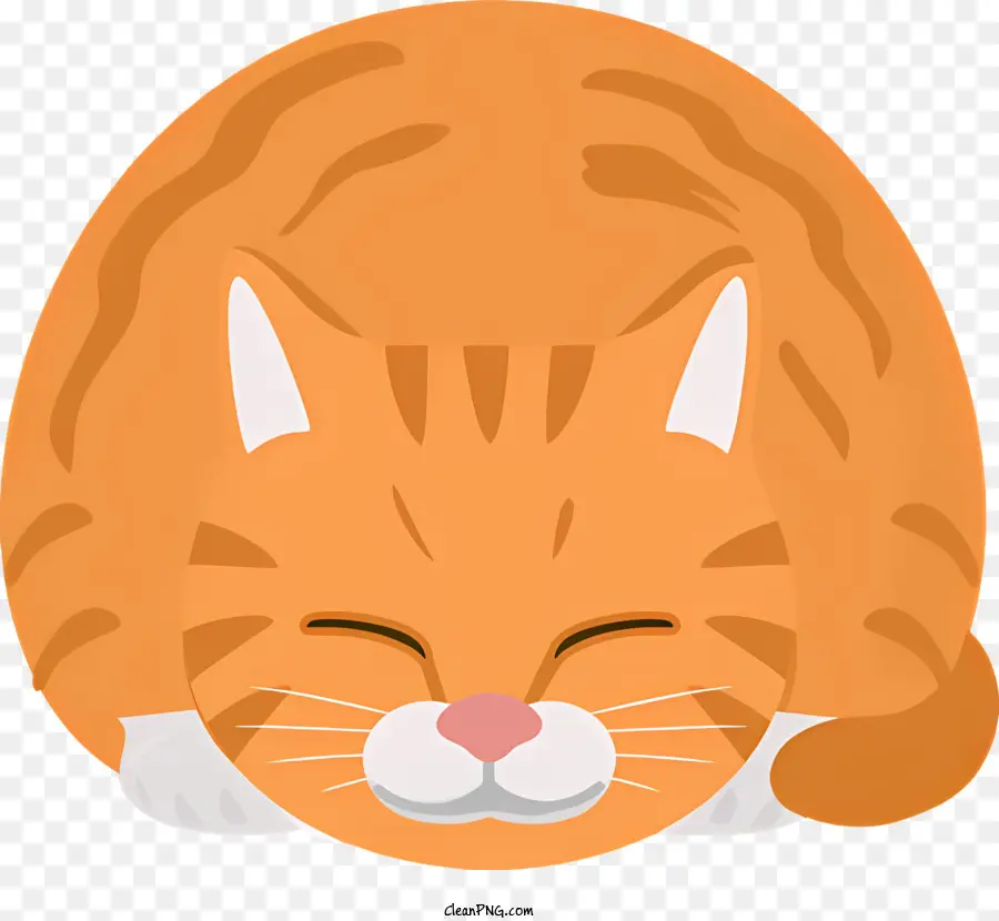 Chat Orange，Chat PNG