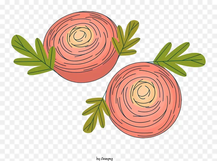 Radis，Roses PNG