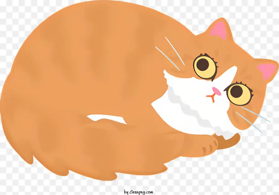 Chat Orange，De Grands Yeux PNG