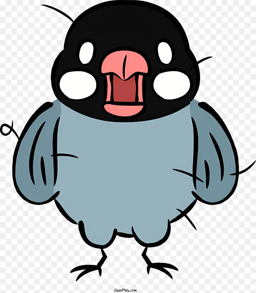 Petit Oiseau Noir，Patch Blanc Sur La Poitrine PNG