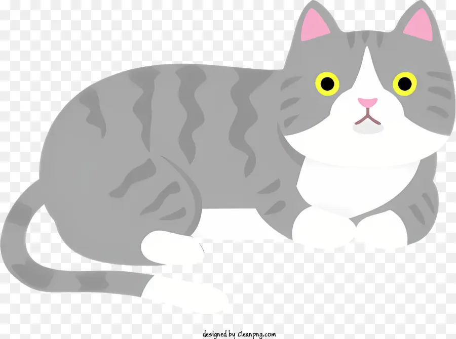 Gris Chat，Oreilles Blanches PNG