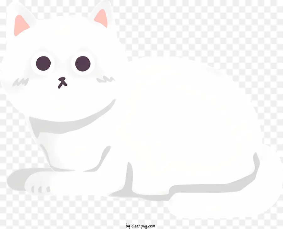 Chat，Chat Blanc PNG