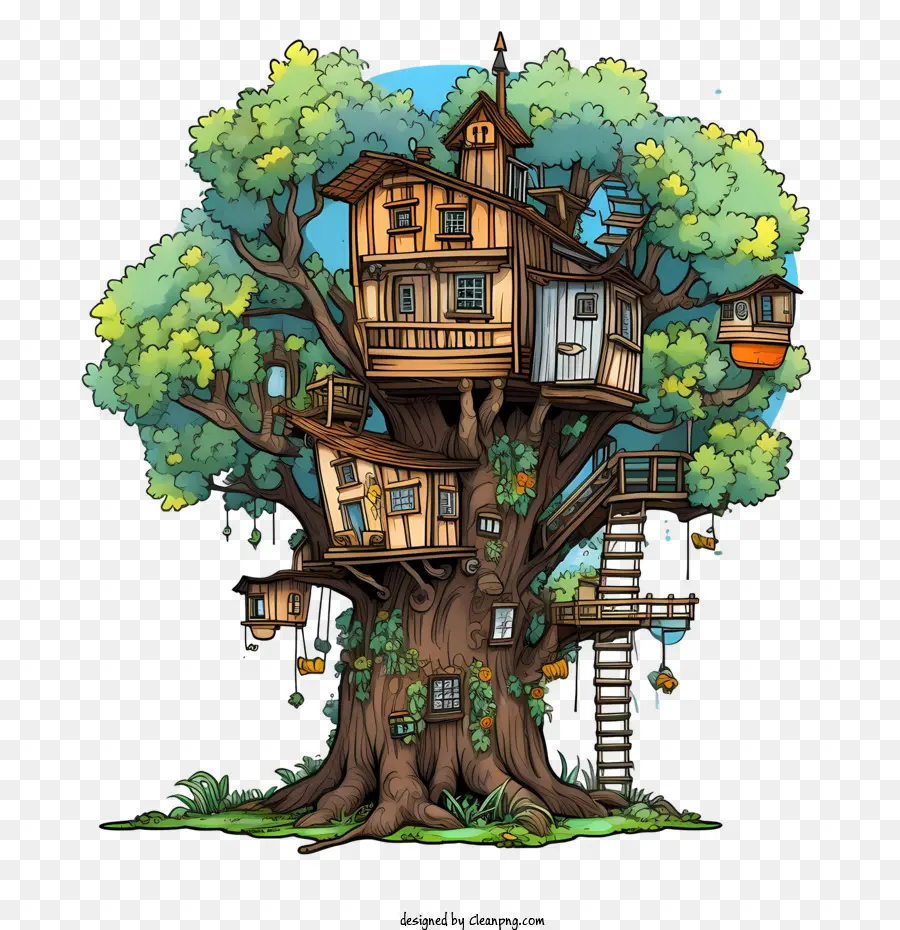 La Maison De L'arbre，La Forêt PNG