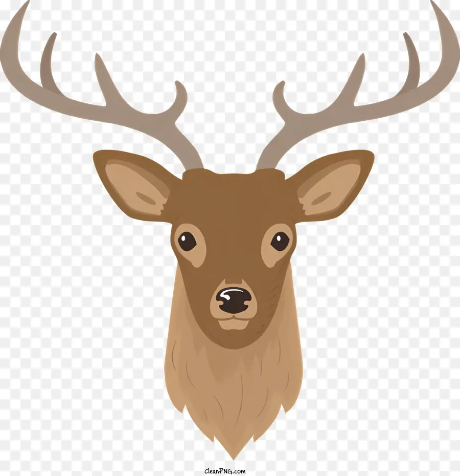 Tête De Cerf，Bois PNG