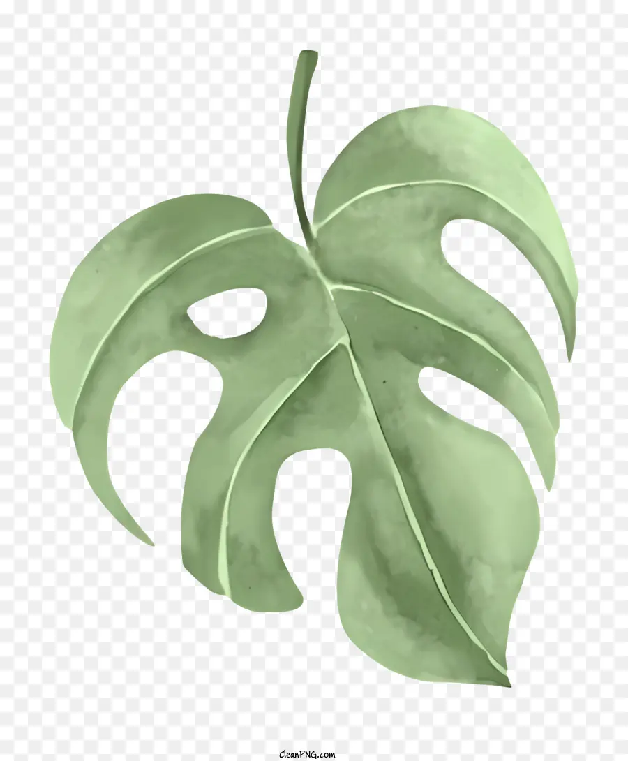 Feuille Verte，Grande Feuille PNG