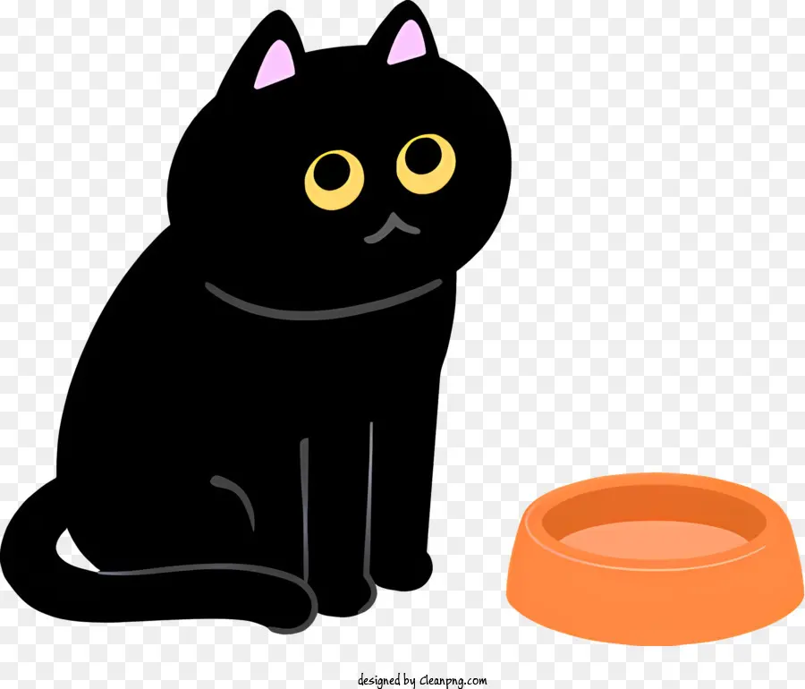 Chat Noir，Chat Blanc PNG