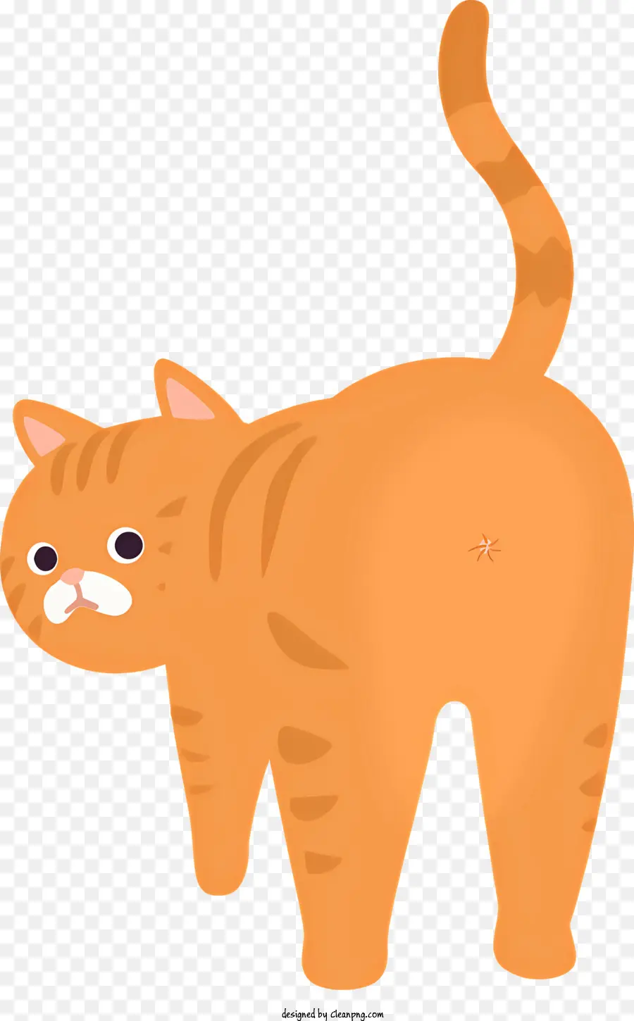 Chat Orange，Chat PNG