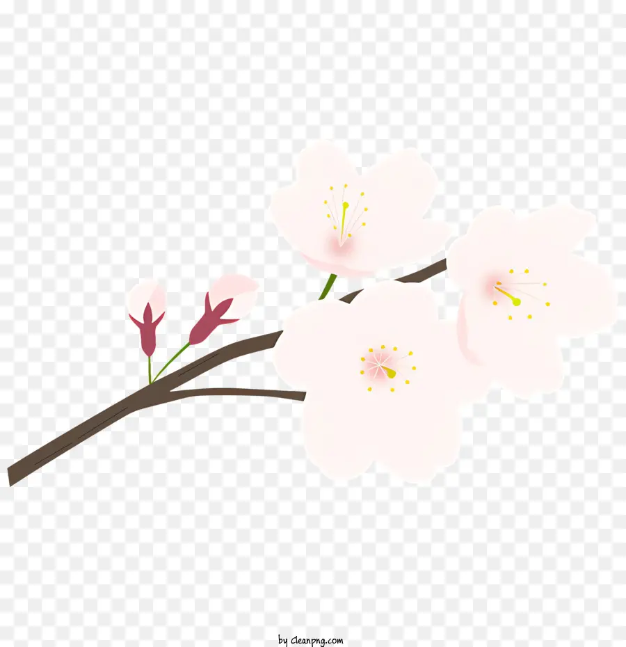 Cerisier En Fleur，Sakura Arbre PNG