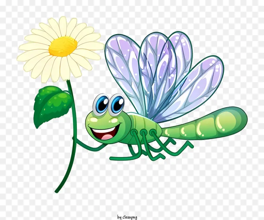 Libellule，Fleur PNG