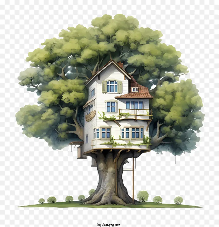 La Maison De L'arbre，Maison PNG