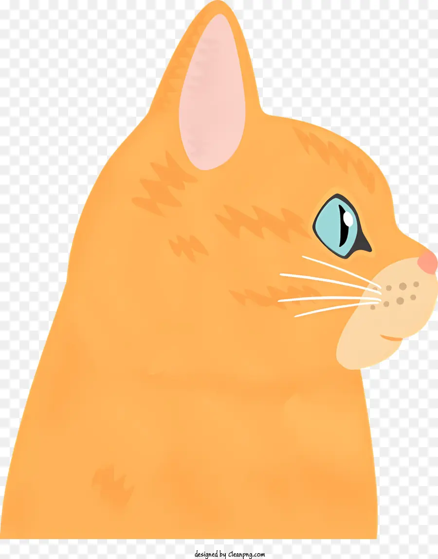 Chat Orange，Chat Gris PNG