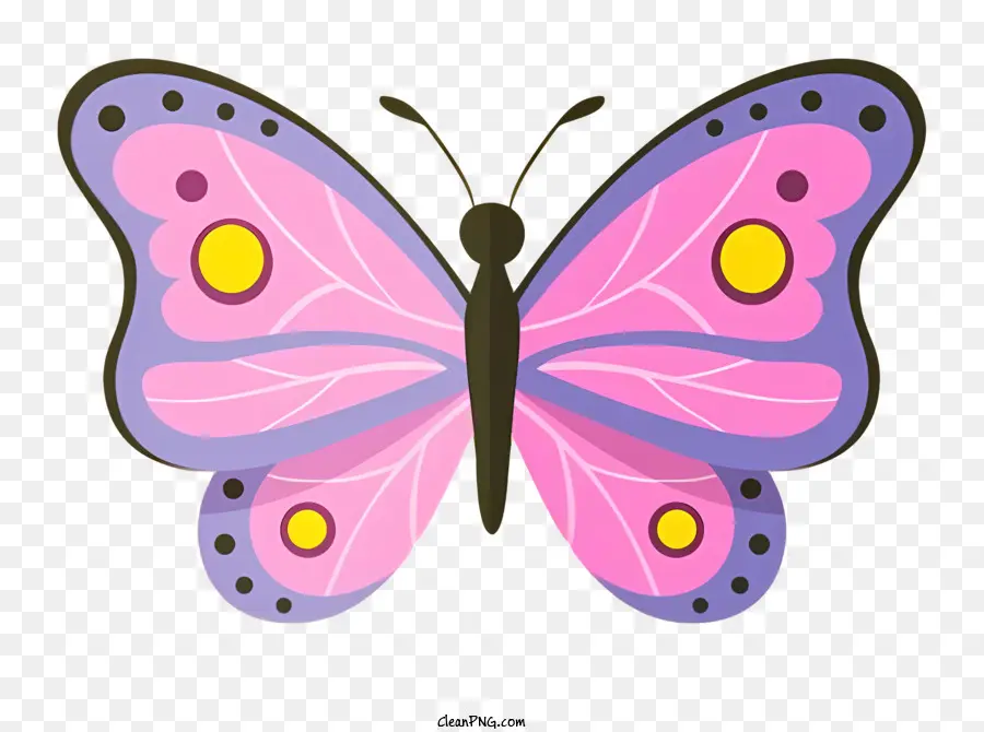 Papillon，Papillon Coloré PNG