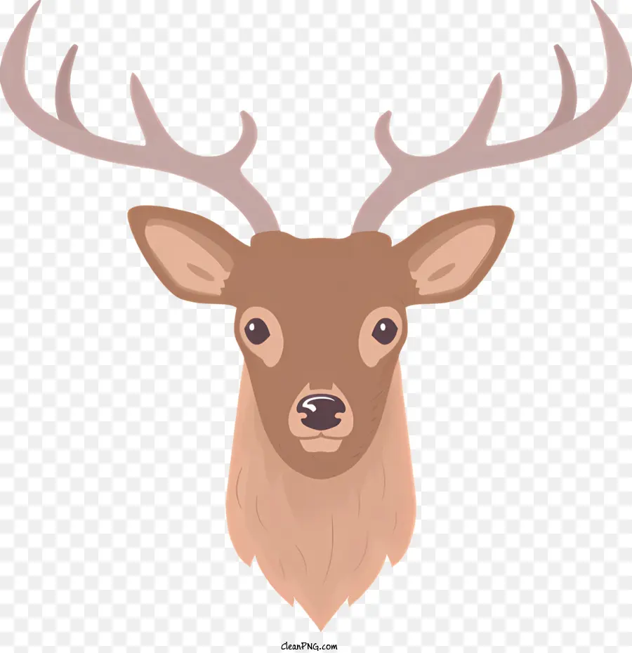 Tête De Cerf，Bois PNG