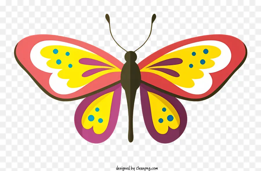 Papillons Colorés，Motifs En Forme D'aile PNG