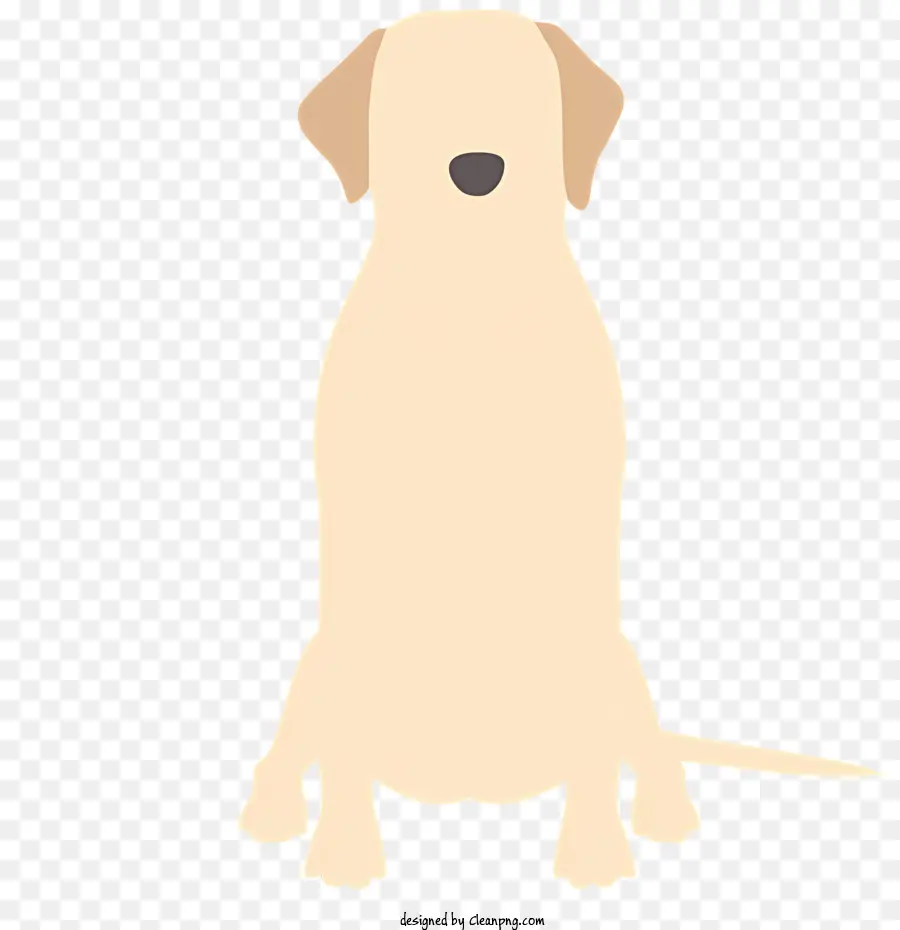 Chien Blanc，Brune PNG