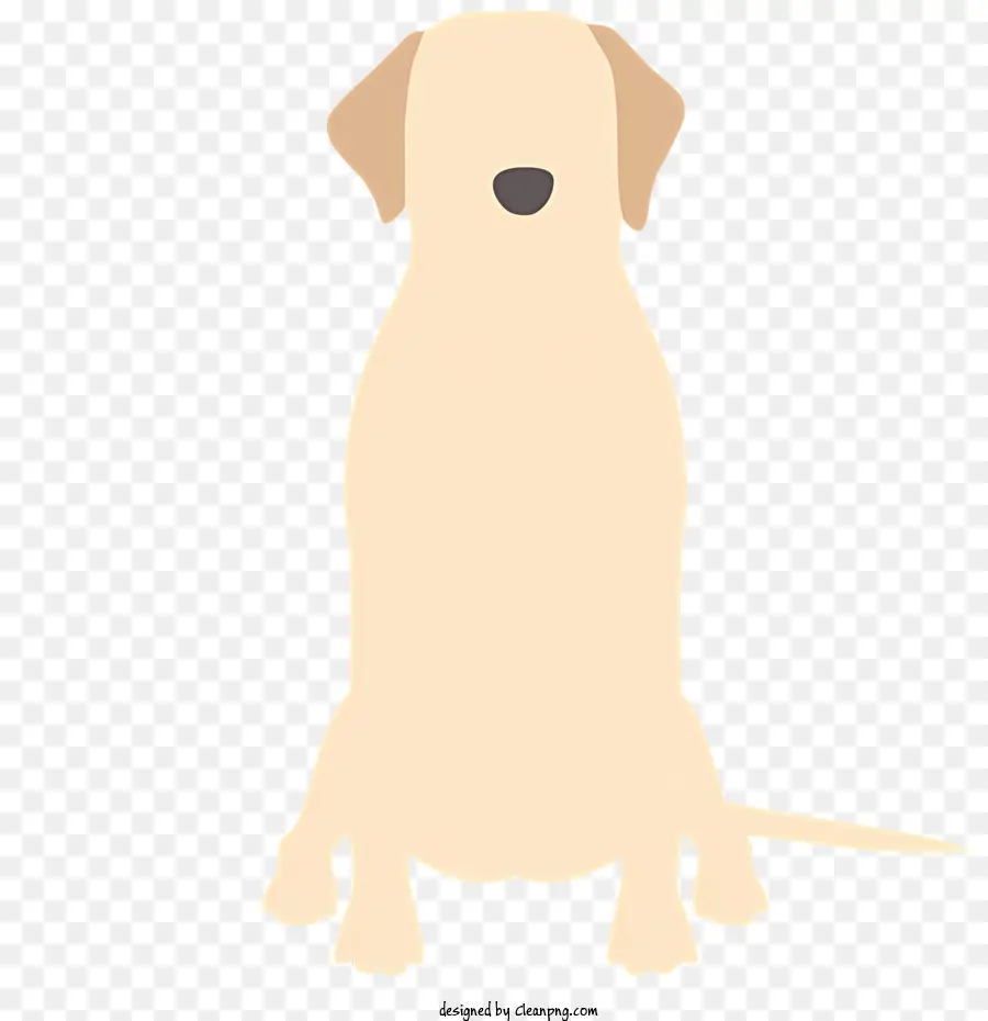 Chien Blanc，Chien PNG