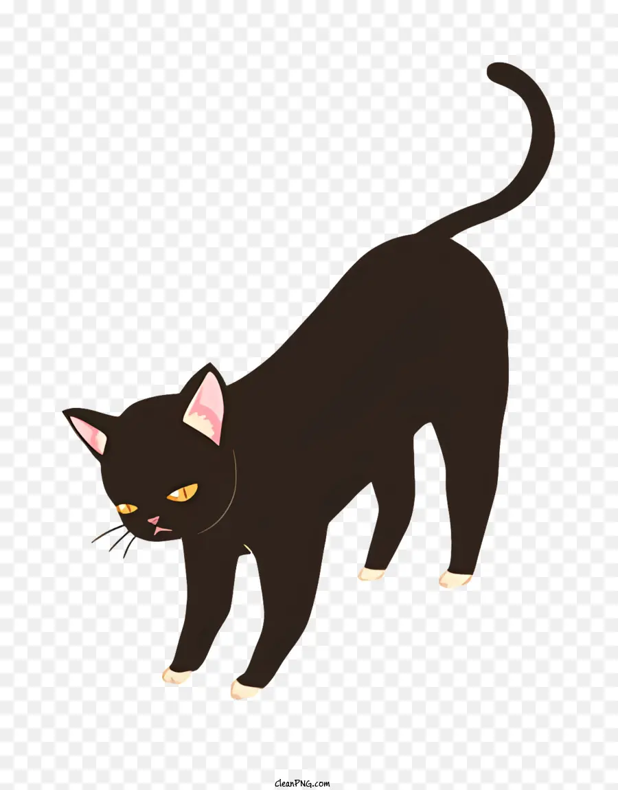 Chat，Chat Noir PNG