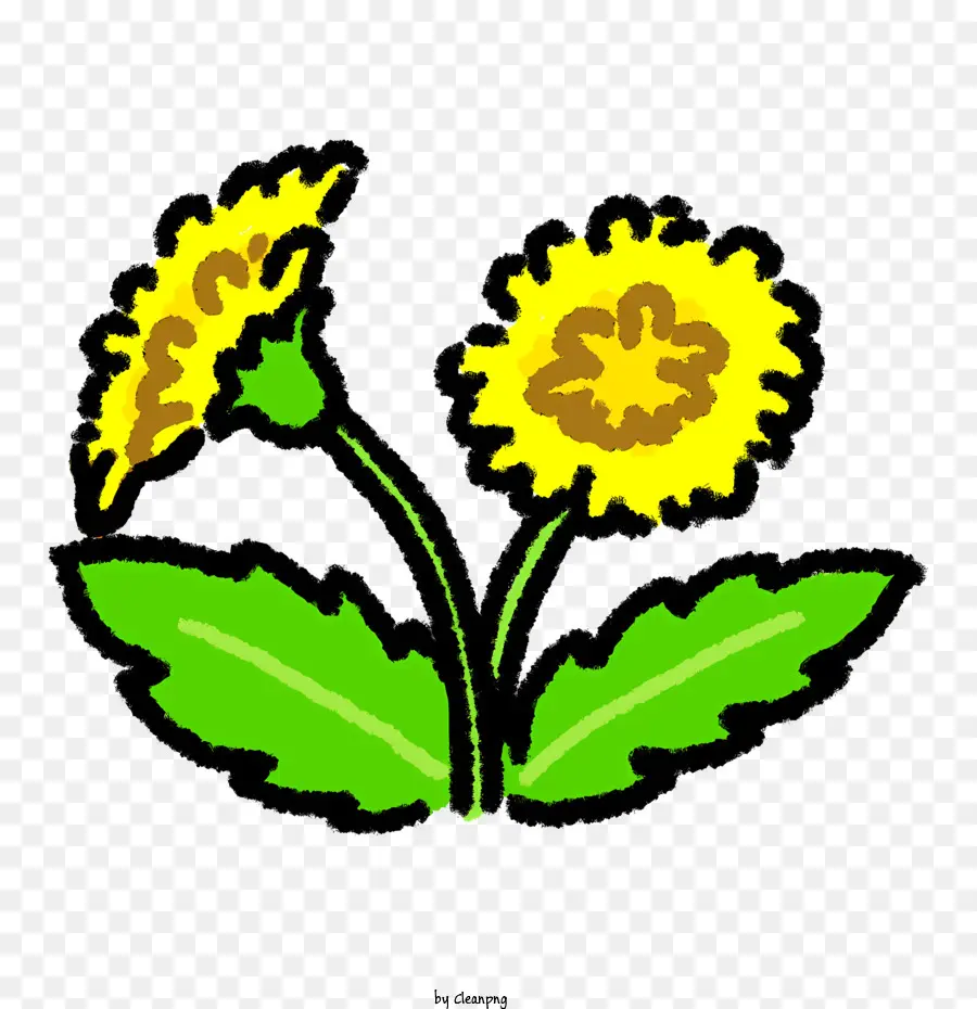 Fleurs Jaunes，Feuilles Vertes PNG