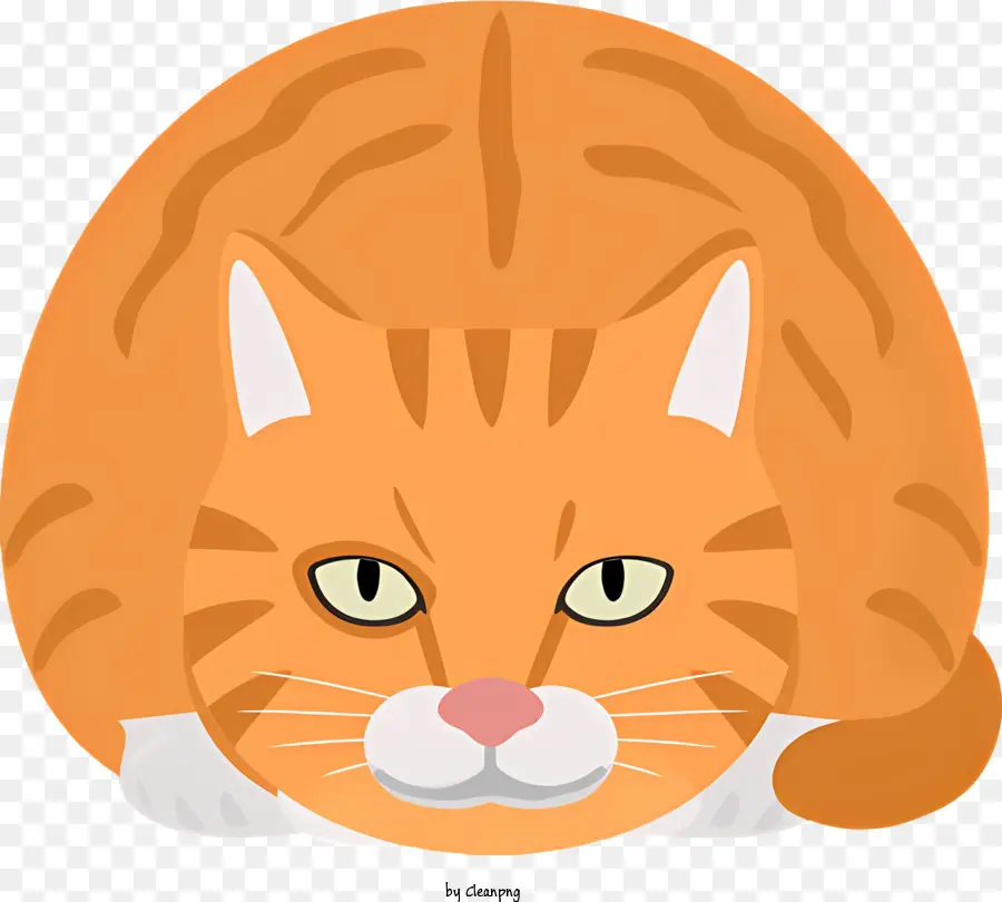 Chat Orange，Chat PNG