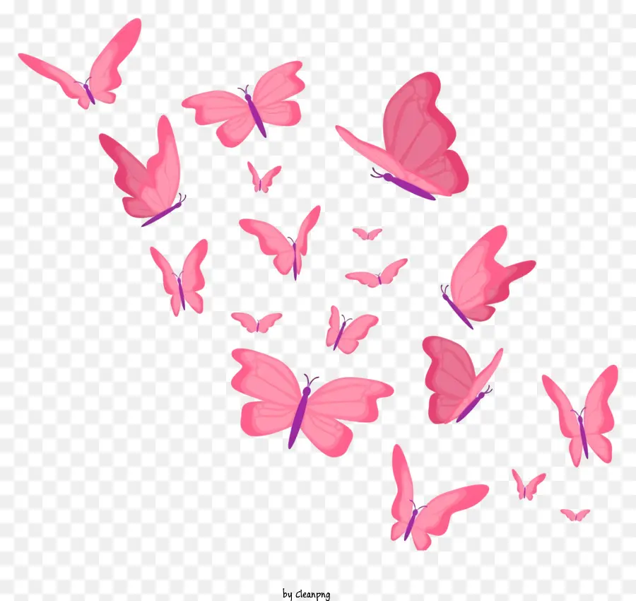 Papillons Roses，Papillons PNG