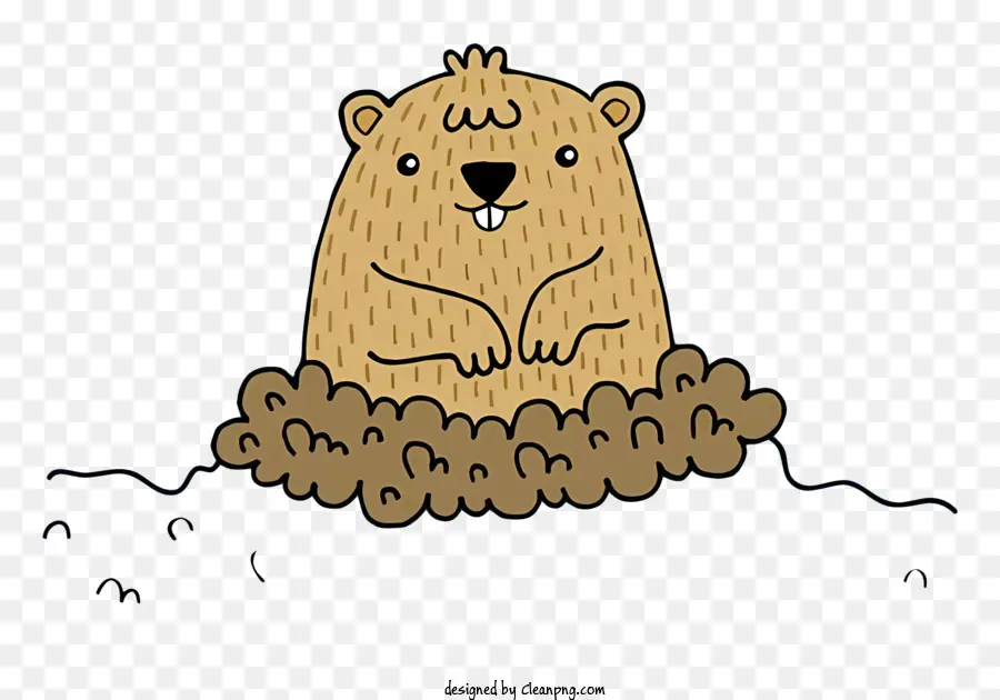 Marmotte De Dessin Animé，Marmotte PNG