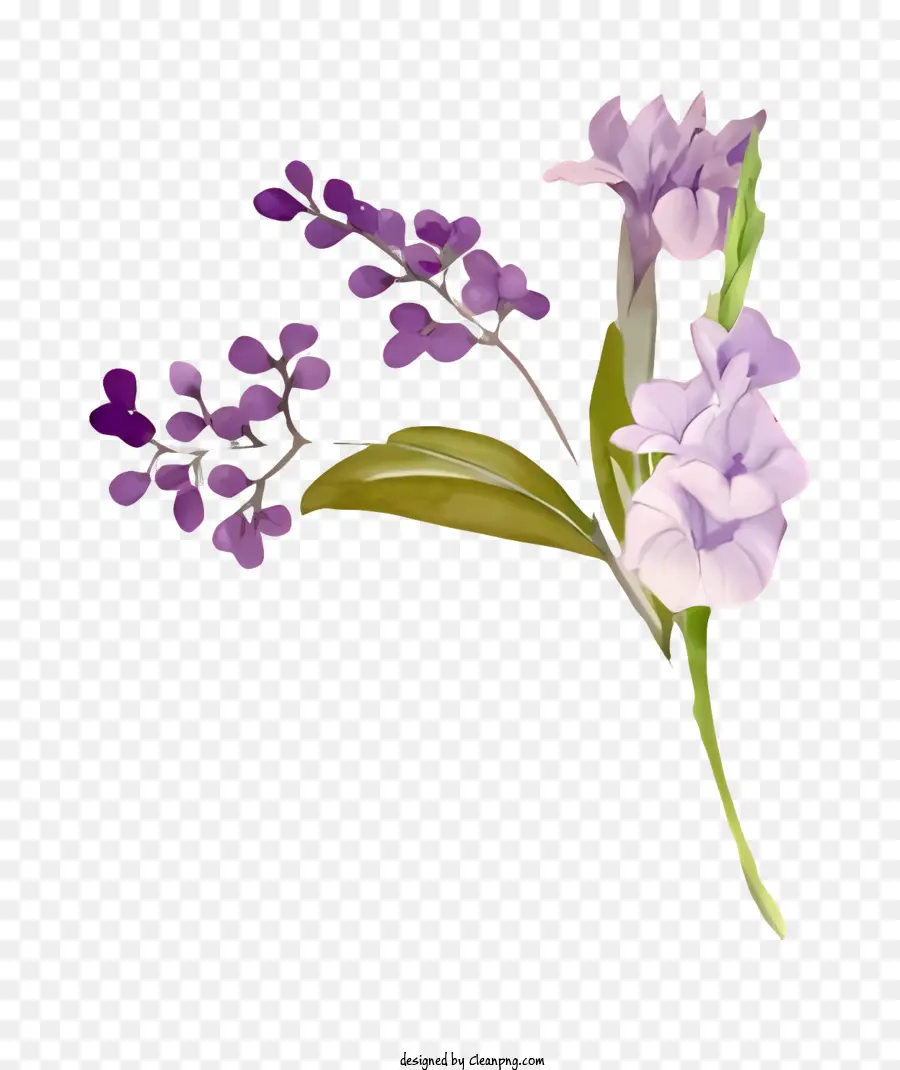 Bouquet，Fleurs Violettes Et Blanches PNG