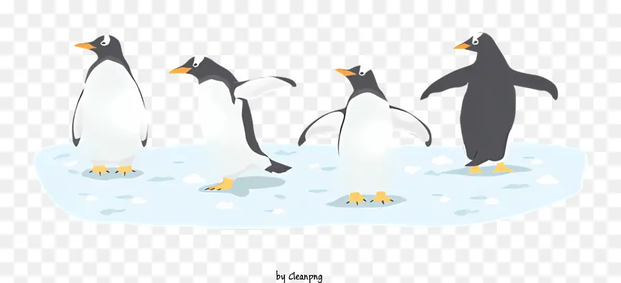 Pingouins，Glace PNG