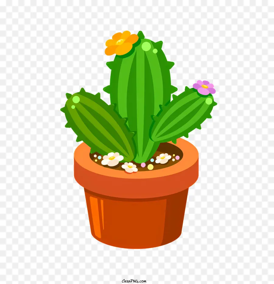 Cactus，Pot PNG
