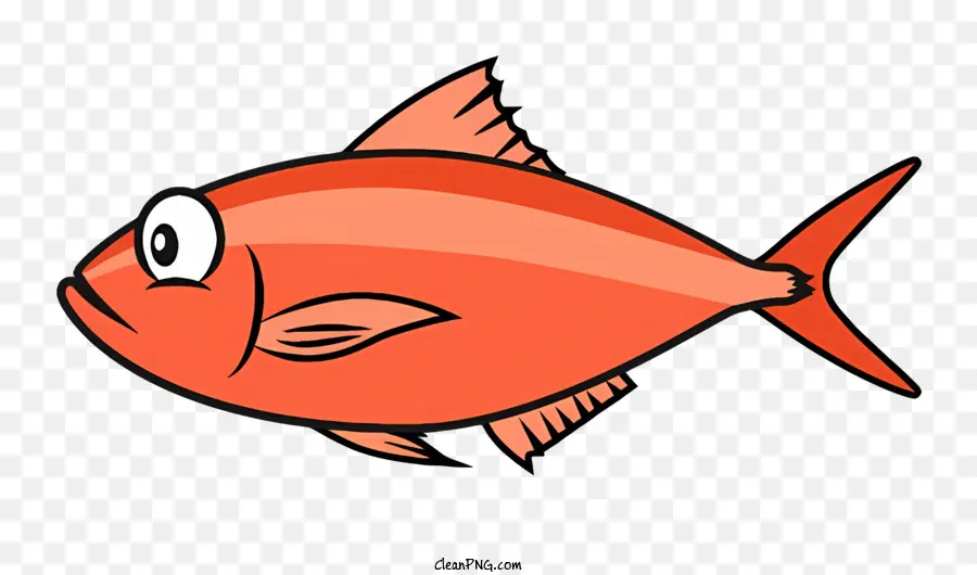 Poisson Rouge，Poisson Orange Et Blanc PNG