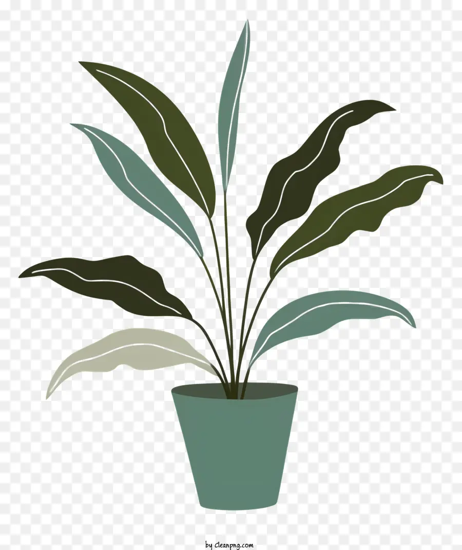 Dessin Animé，Plante En Pot PNG