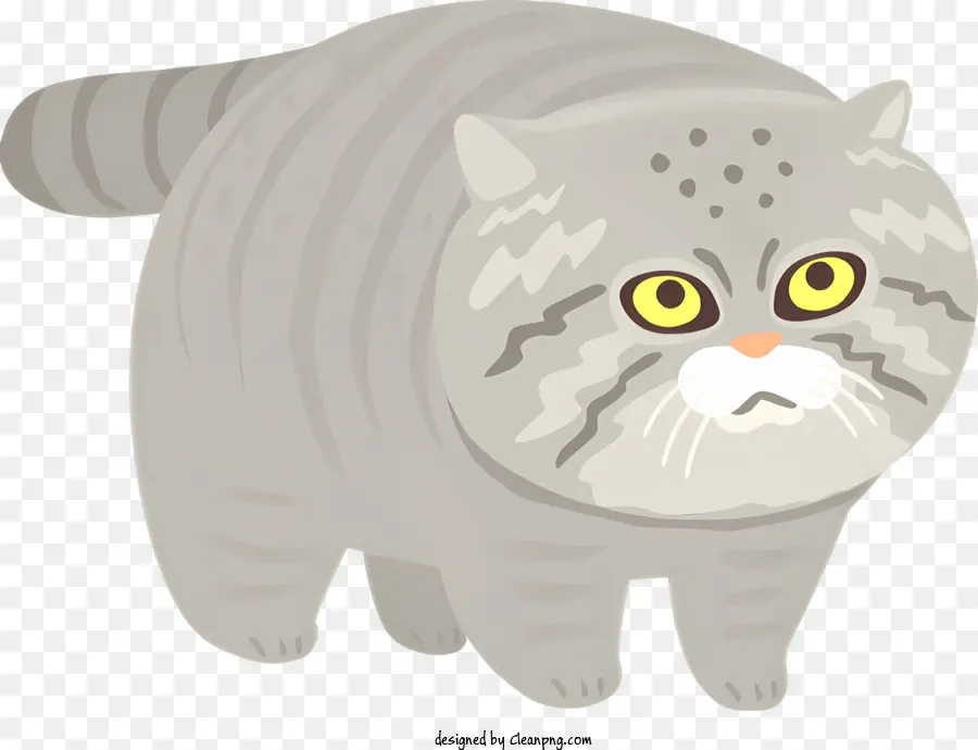 Gris Chat，Grands Yeux PNG