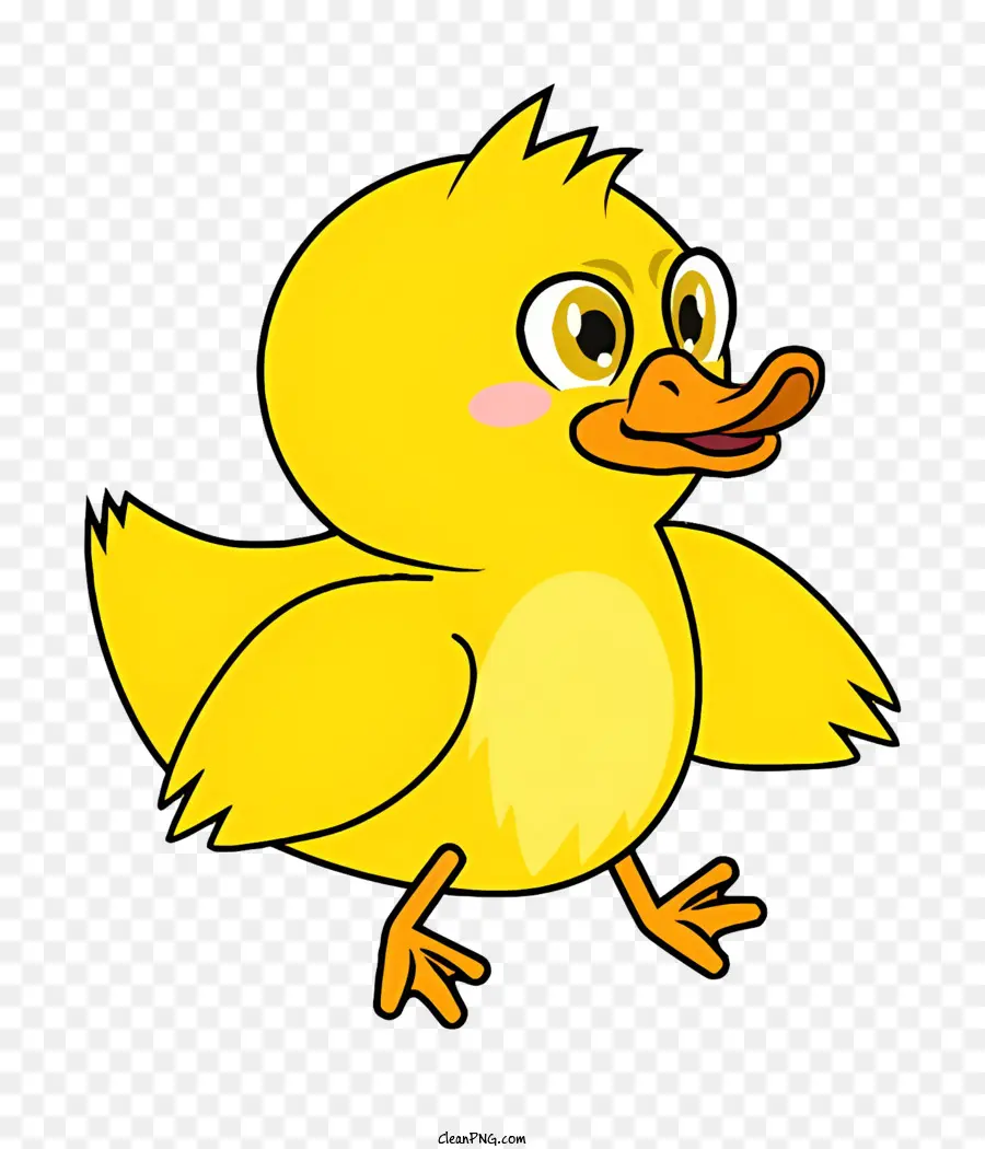 Canard De Dessin Animé，Canard PNG