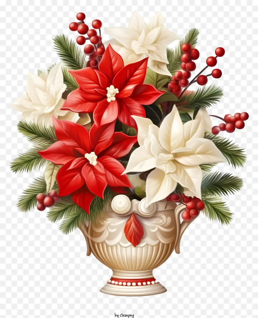 Poinsettia Rouge Et Blanc，Arrangement De Poinsettias PNG