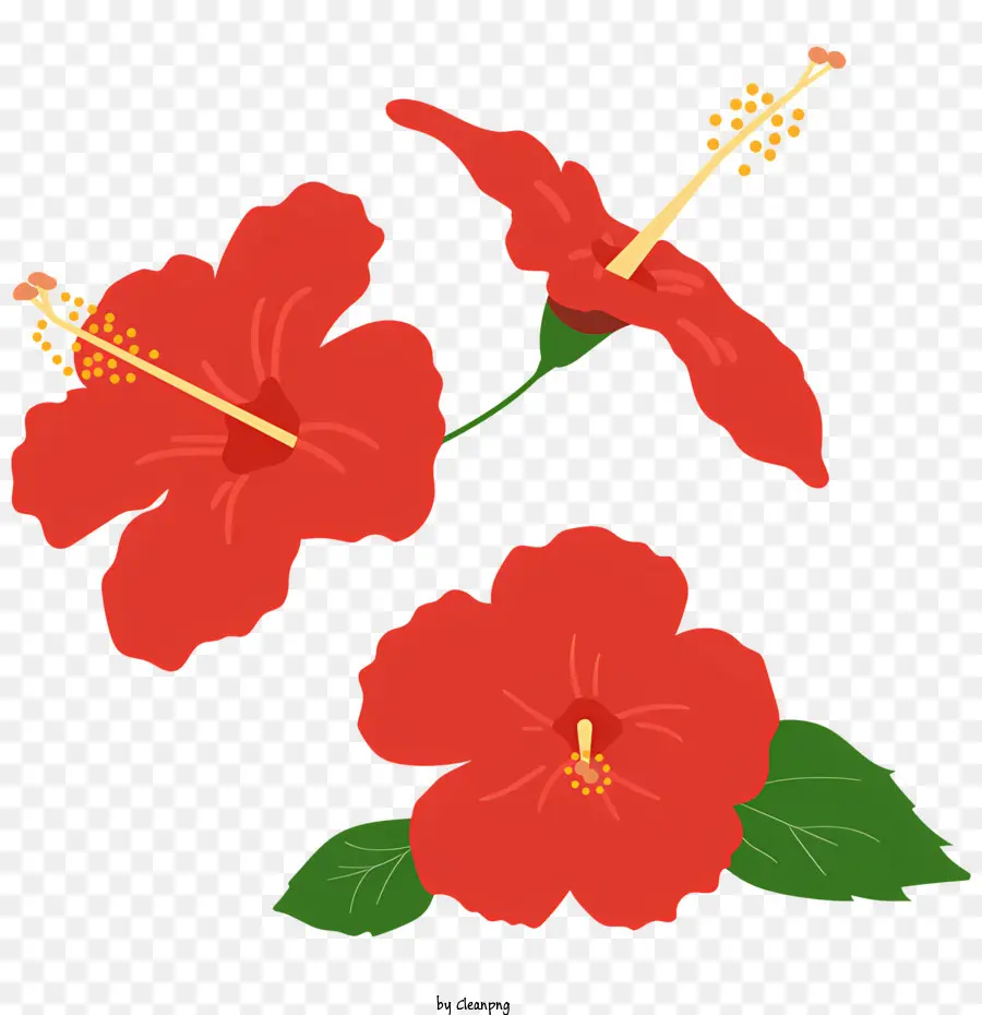 Fleurs D'hibiscus Rouges，L'hibiscus Plante PNG