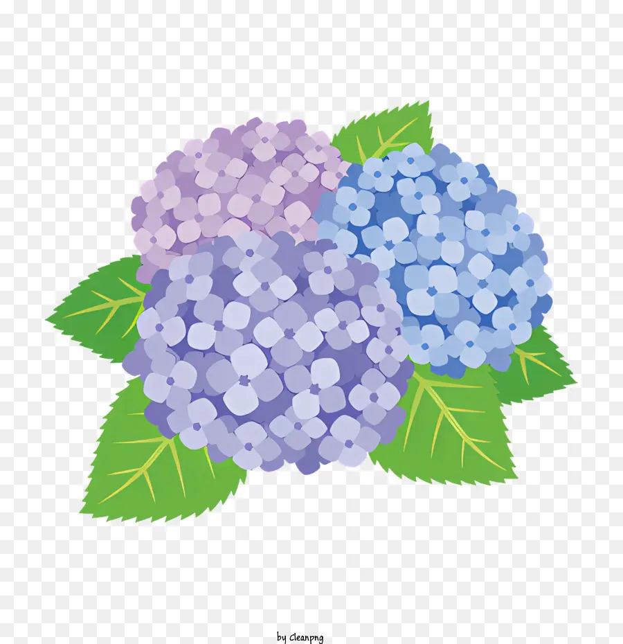 Bouquet，Hortensia Violet PNG